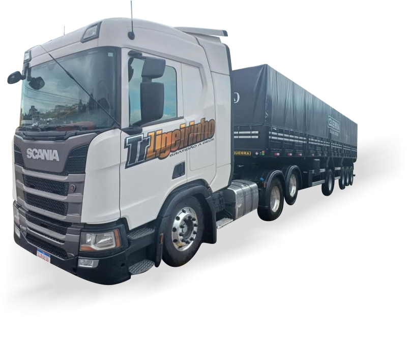 Caminhões Ligeirinho Transportes